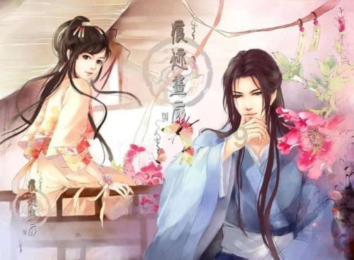 植物小蓬草长什么样?,解锁更多知识与乐趣
