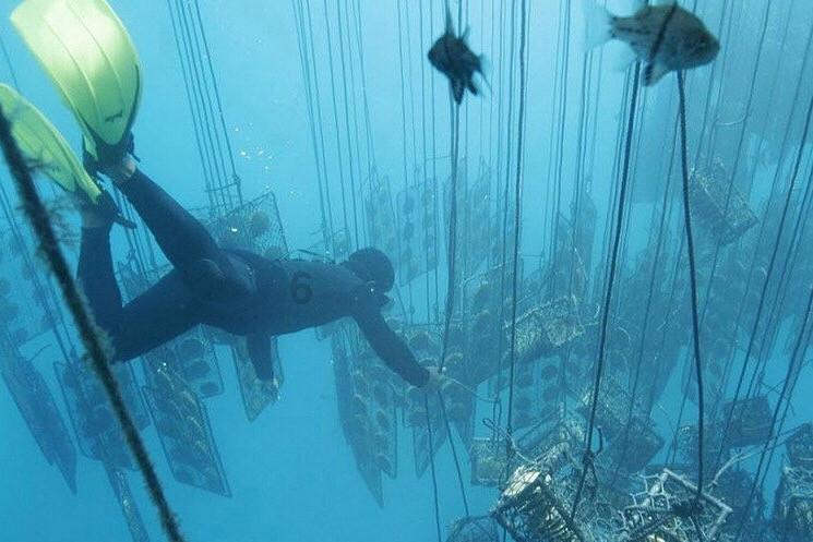 海滩度假胜地逃脱