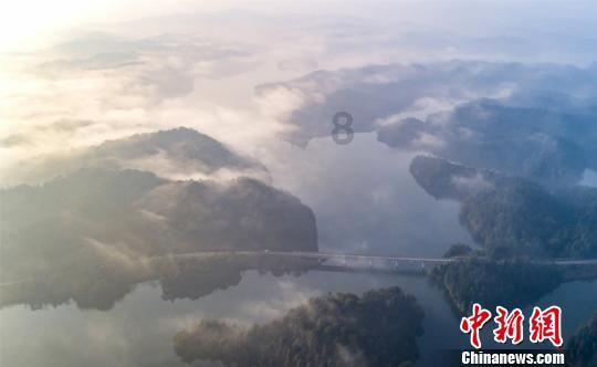新闻链接丨集中开工项目： 投资体量大 产业集中度高
